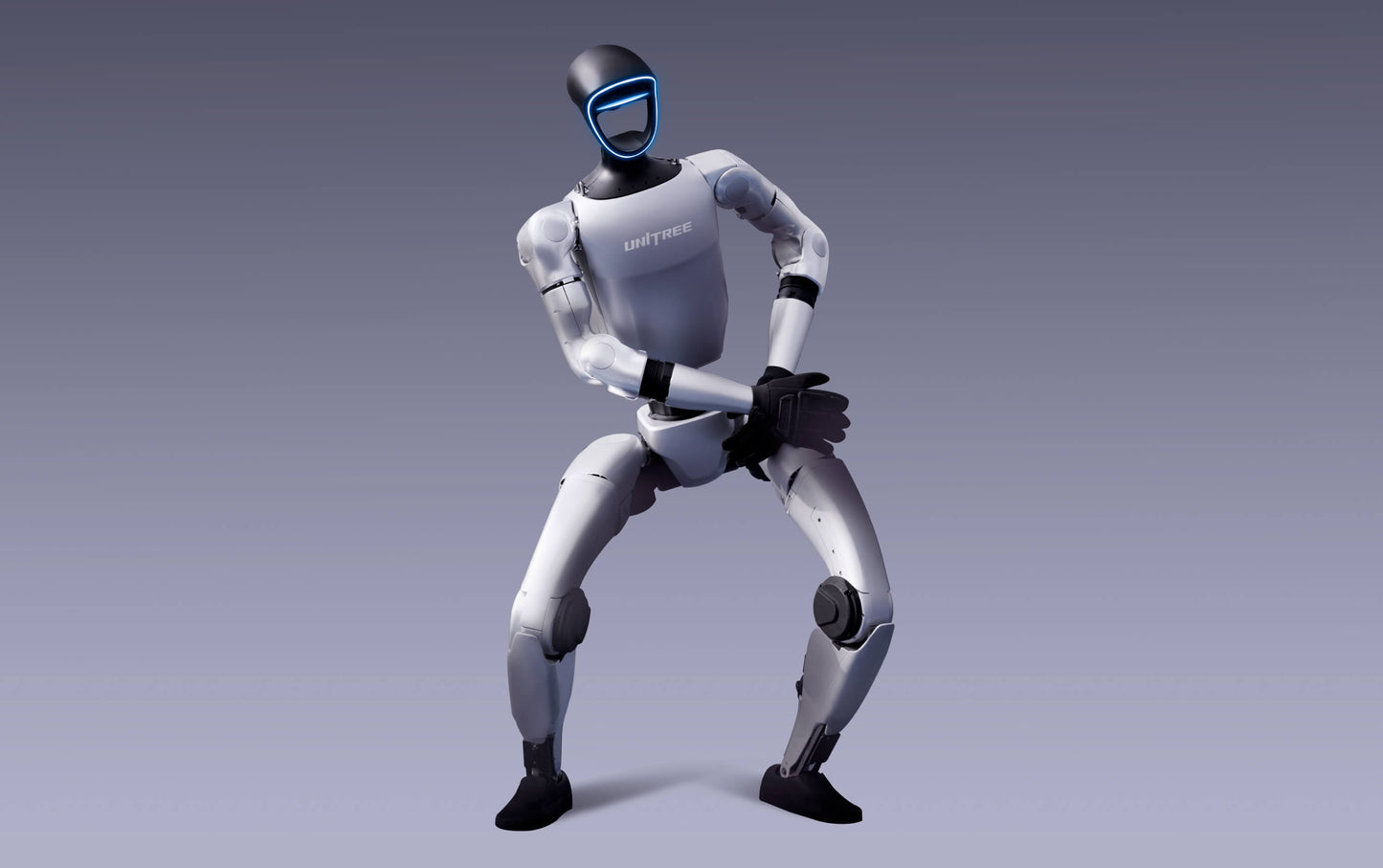 Entertainment Robot