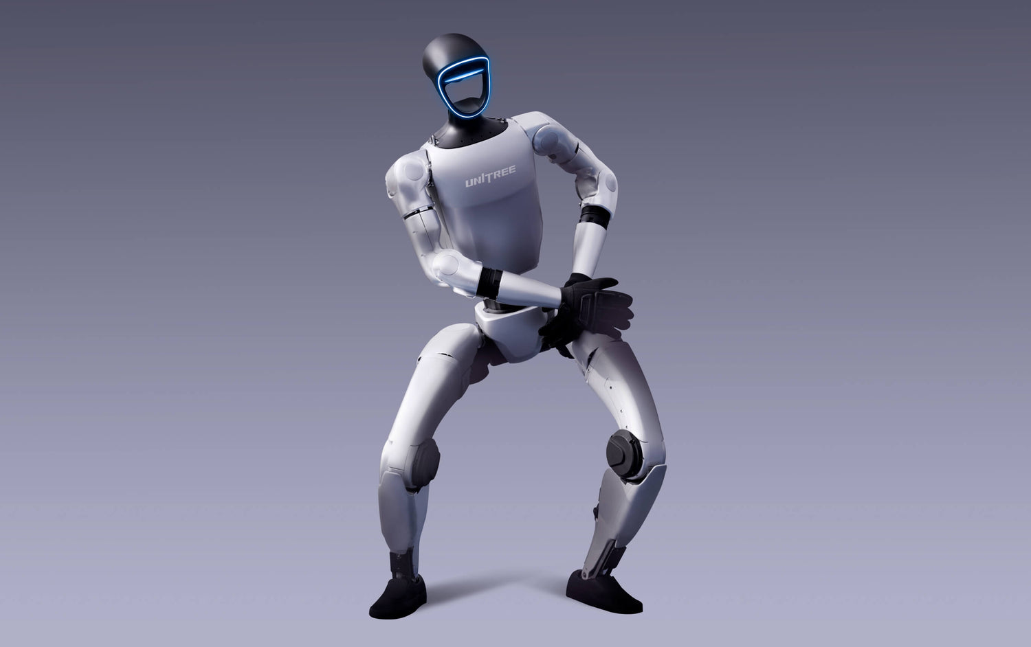 Entertainment Robot