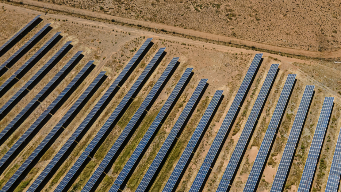 Solar panels arranged in rows on a brown field with 'ROBAU' branding.