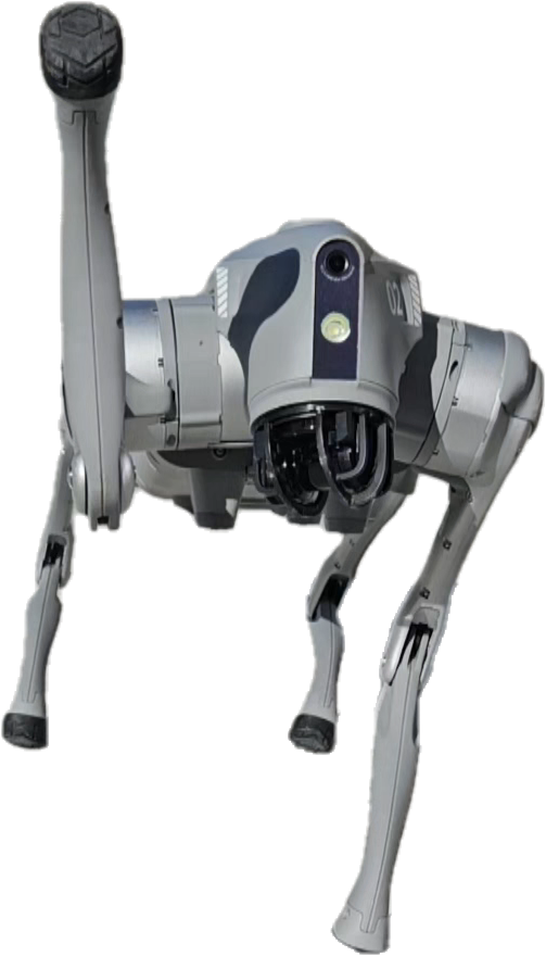 Go2 Air - with BONUS Controller