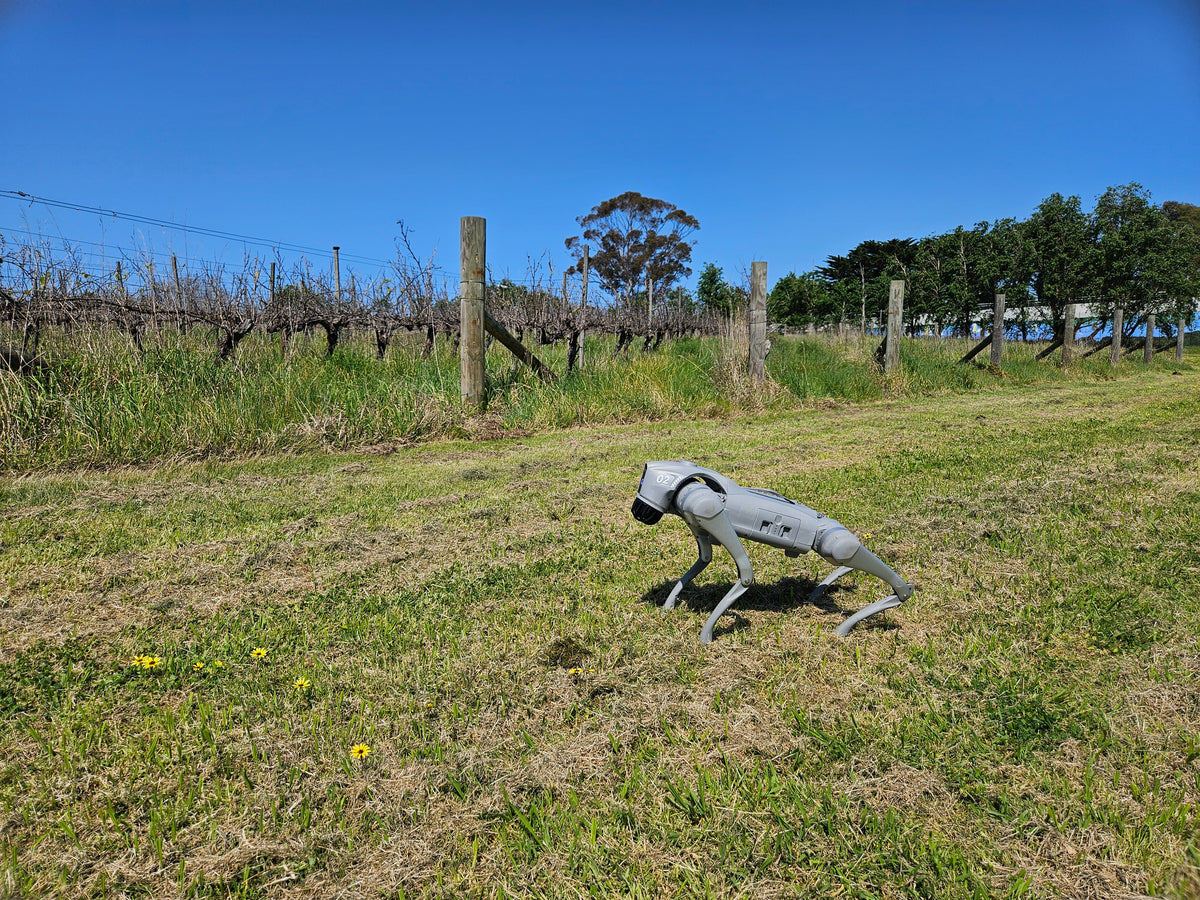 Smarter Robotics, Limitless Possibilities – ROBAU